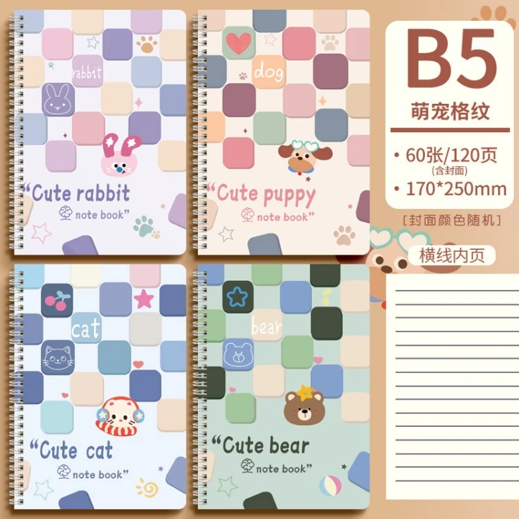 Additional JOYPAPER notebook style 2